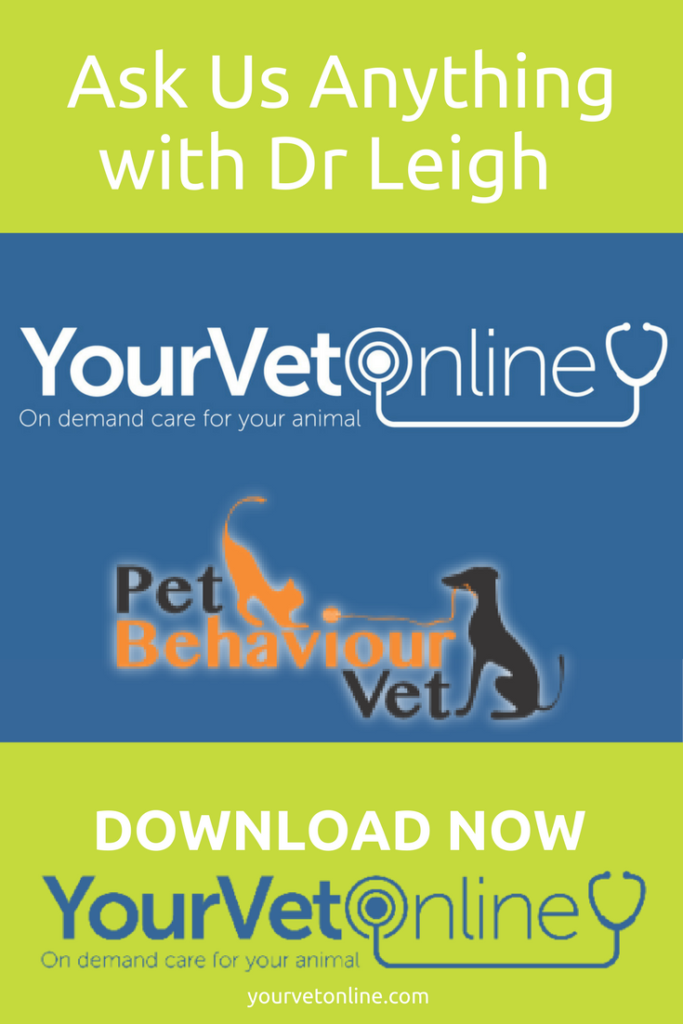 ask-us-anything-with-pet-behaviour-vet
