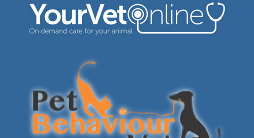 pet-behaviour-vet-ask-us-anything