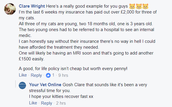 why is pet insurance worthwhile