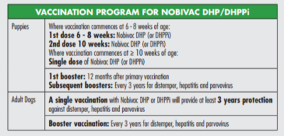 Nobivac dhp/dhppi protocol for vaccination of dogs