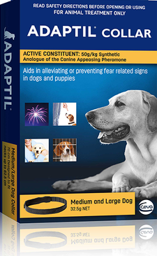 An adaptil collar is useful when your dog is anxious or has a noise phobia