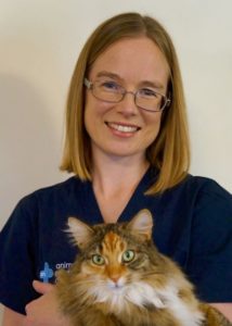 Dr Fiona Park BVSc(dist) DVSc DACVIM Registered Specialist in Small Animal Internal Medicine