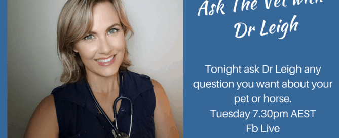 ask the vet with dr leigh