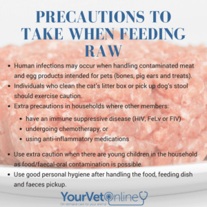 precautions to take when feeding raw meat