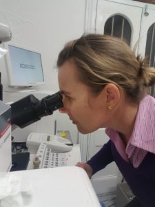vet using a microscope to diagnose skin cancer from cytology