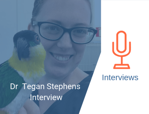 Dr Tegan Stephens interview: unusual and exotic pet vet