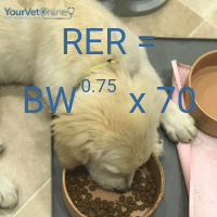 calculation to work out resting energy requirements for dogs and cats