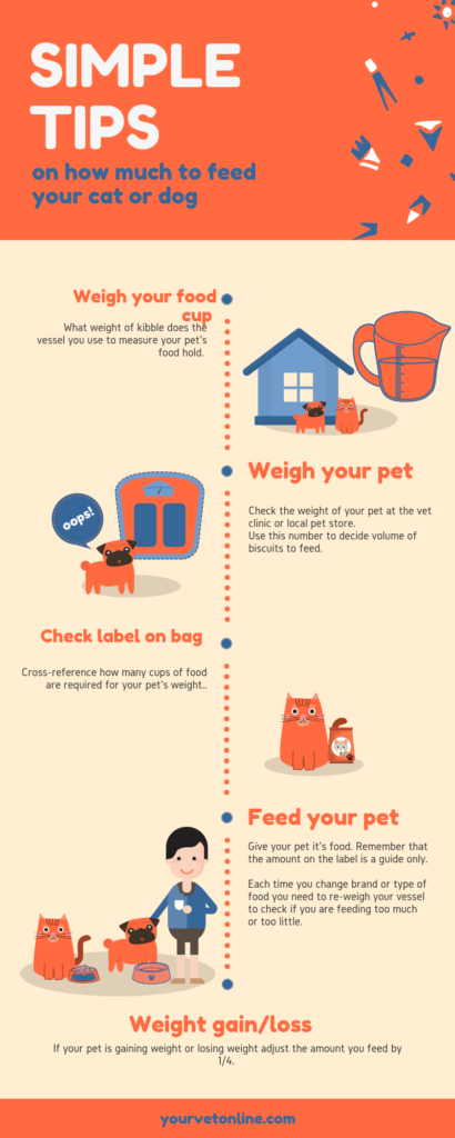 how much to feed your dog or cat simple tips