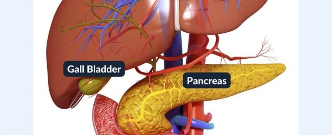 organs involved in triaditis in cats liver, bowel and pancreas