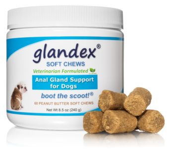 glandex soft chews for anal gland support