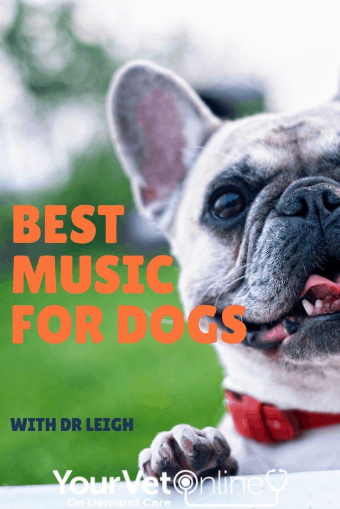 pinterest pin for best music for dogs