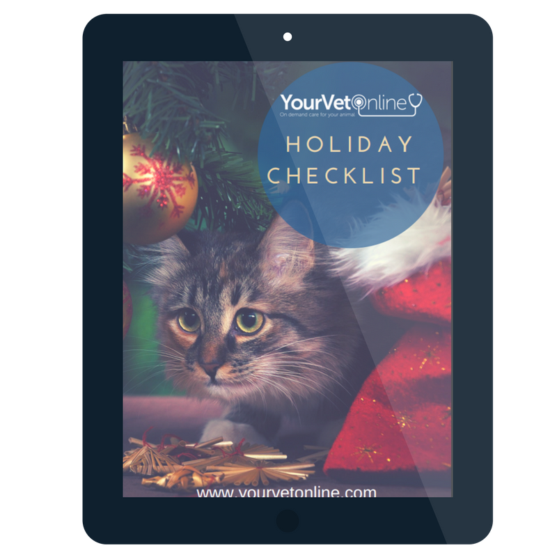 cat holiday checklist flyer