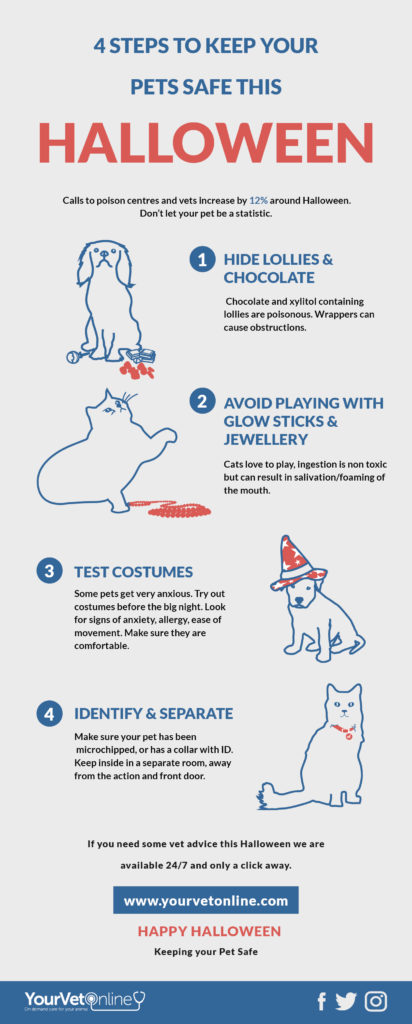 infographic safety tips to keep your pets safe at Halloween